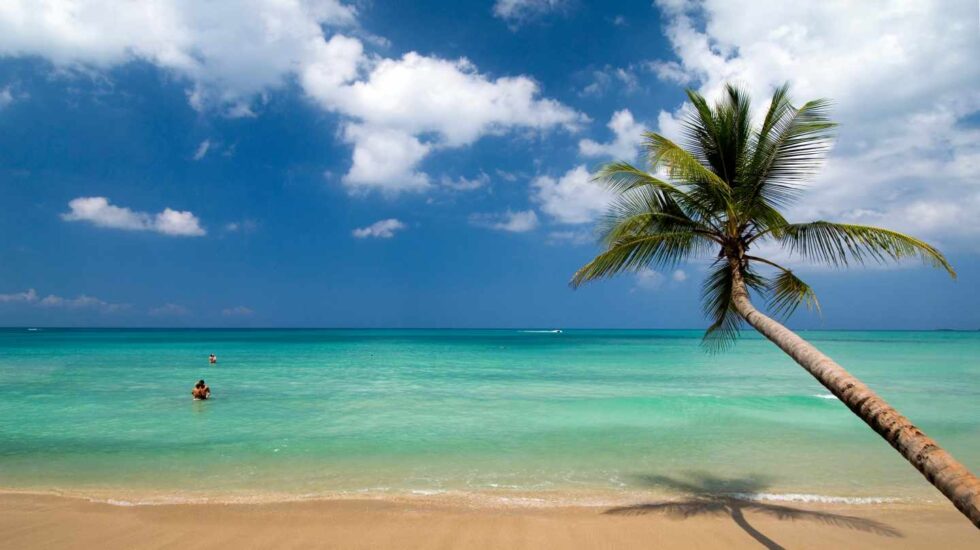 Las mejores excursiones para visitar Samaná